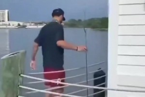 有点离谱.....功夫篮球已经开播啦？这算犯规么